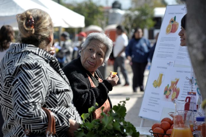 Saltillo: “Sin filas y gratis verifiqué mi auto en mi colonia”.- Rosa Isela González