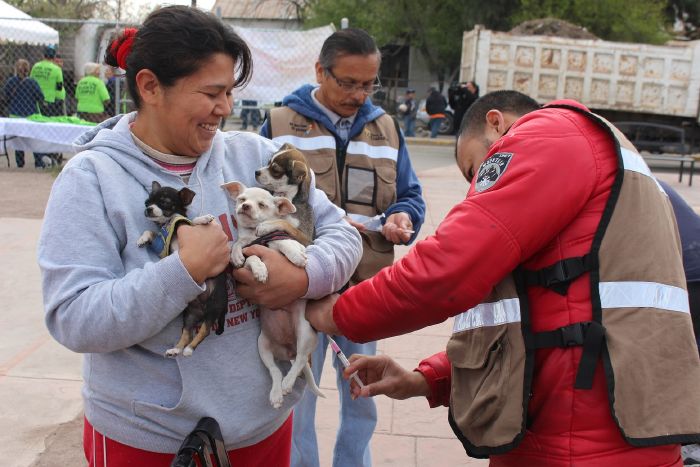 Aplicaran en Sabinas programa de esterilización Canina y Felina