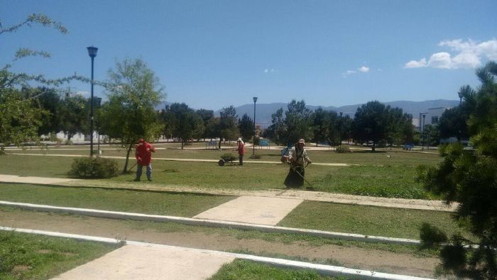 Saltillo: Atiende Municipio 38 plazas en una semana