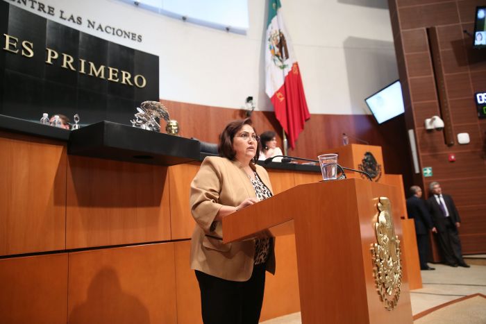 Urge Protección Animal: Silvia Garza
