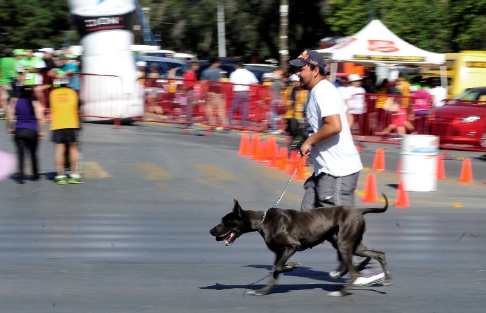 Saltillo: Lleve a vacunar a su mascota este domingo en la Ruta