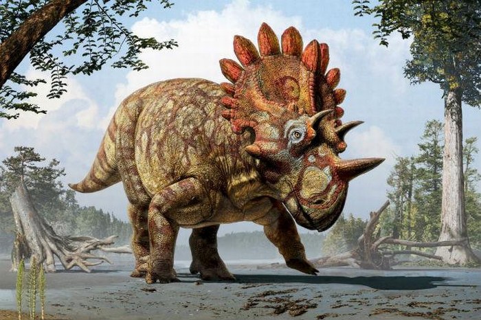 Hallan en Canadá nueva especie de dinosaurio