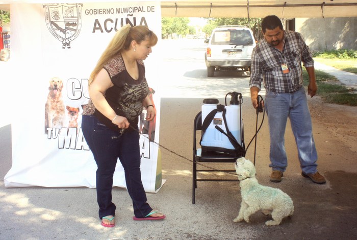 Acuña: Continúa salud municipal con campaña: “cuida tu mascota”.