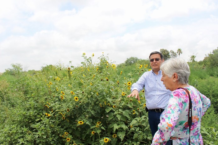 Sabinas: Proyectan crear áreas verdes en la villa de Agujita