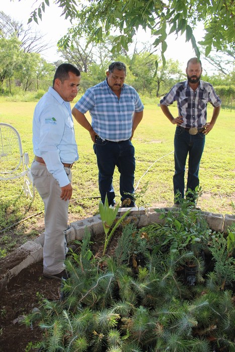 Sabinas: Ecología Municipal y la CONANP se coordinan para lograr programas de reforestación 
