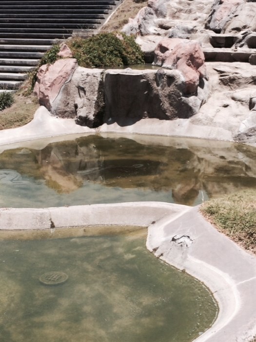 Saltillo:  Descuidado y sucio el Parque las maravillas