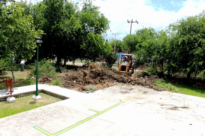 mini-limpieza ecologia (3)