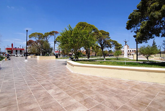 Aplicaran reforestación y rehabilitación de jardineras en plaza principal de Sabinas