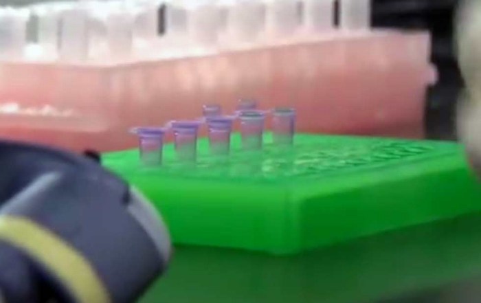 Revela ADN nuevo aspecto de asentamiento en las Américas