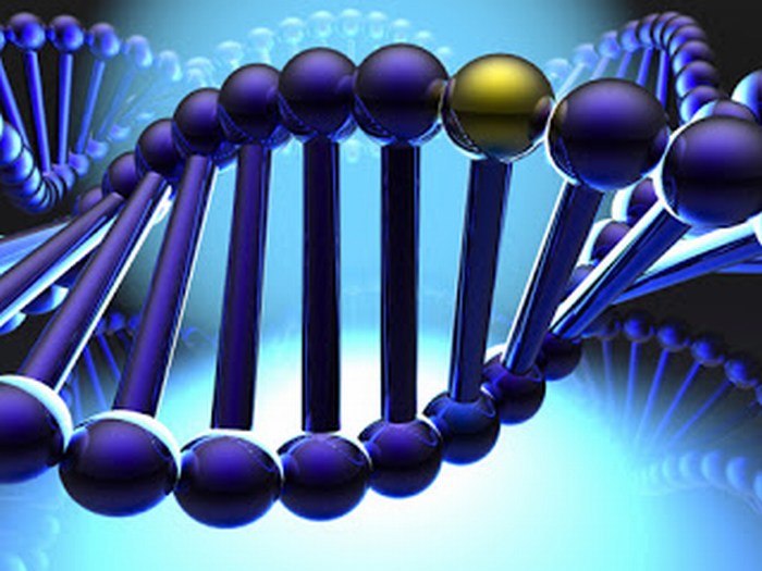 Investigadora inglesa quiere manipular genes humanos