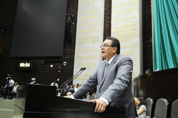 Intervención del diputado Javier Guerrero en Tribuna