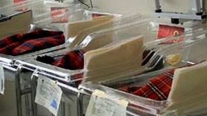 Nacen sextillizos en Celaya, Guanajuato