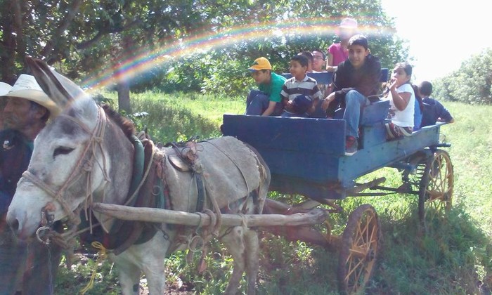 Saltillo: Invitan a disfrutar del campo en familia