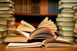 mini-LEER