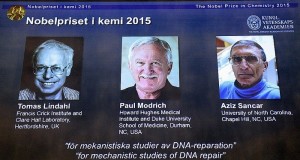 mini-nobel de la quimica