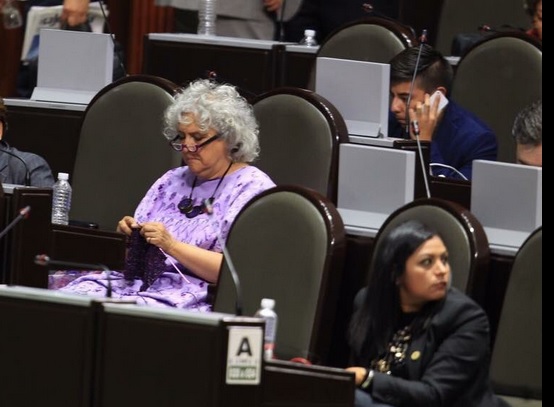 Conoce a #LadyChambritas: La diputada que teje el futuro de México
