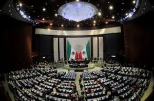 mini-DIPUTADOS