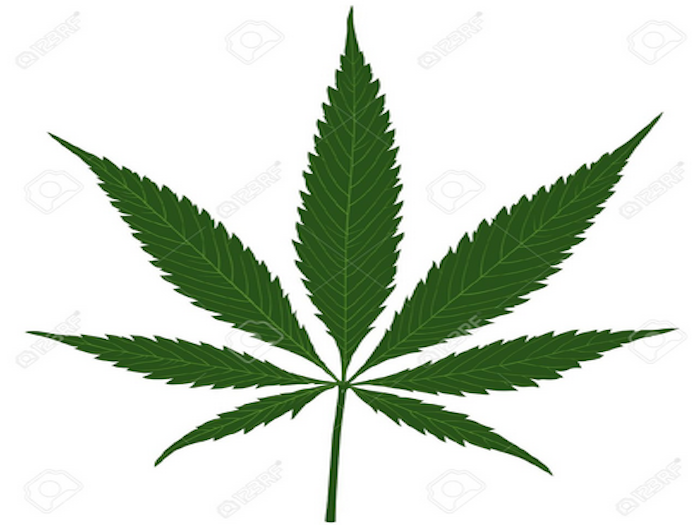 Organiza PRD iniciativa ciudadana pro regularización de mariguana.