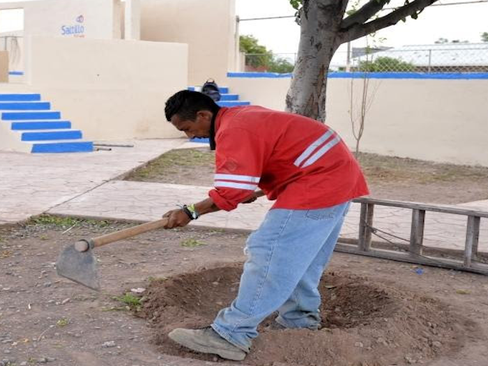 Realiza Municipio casi dos mil atenciones a plazas en 2015