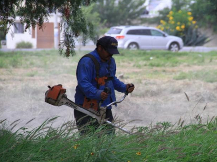 Saltillo: Atienden cuadrillas 129 plazas en diciembre