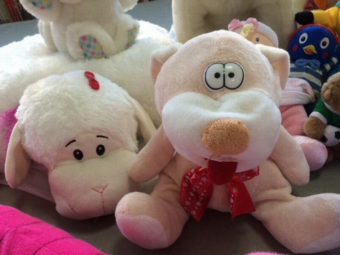 Saltillo: Invitan Biblioparques a donar peluches en buen estado