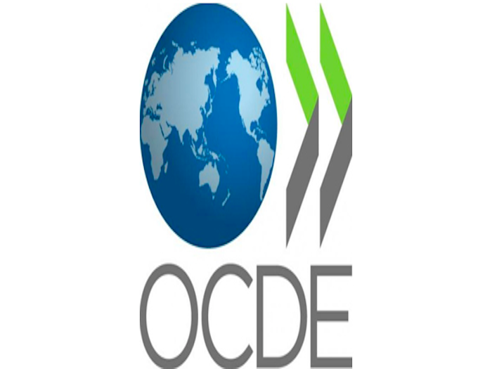 Atenderá sector salud recomendaciones de OCDE sobre diabetes y obesidad: Mercedes Juan