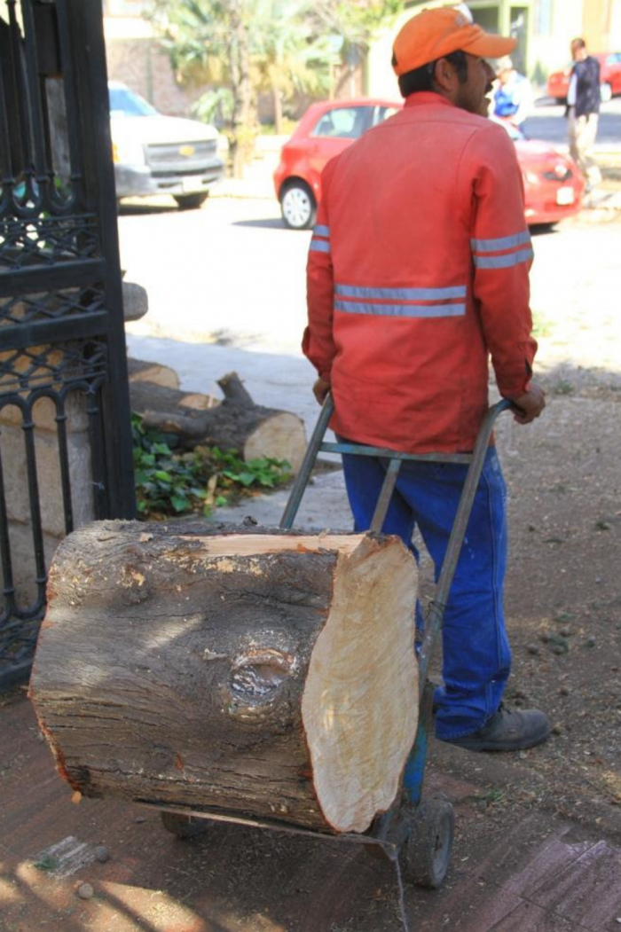 Continúan trabajos por contingencia del viento