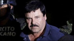 mini-EL CHAPO