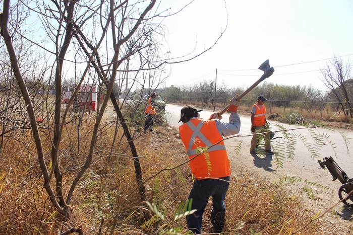 Sabinas: Ecología atiende reportes ciudadanos