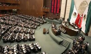 mini-DIPUTADOS M