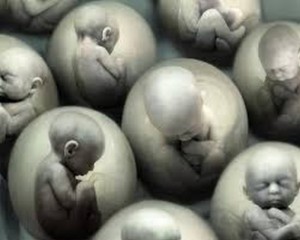 mini-EMBRIONES