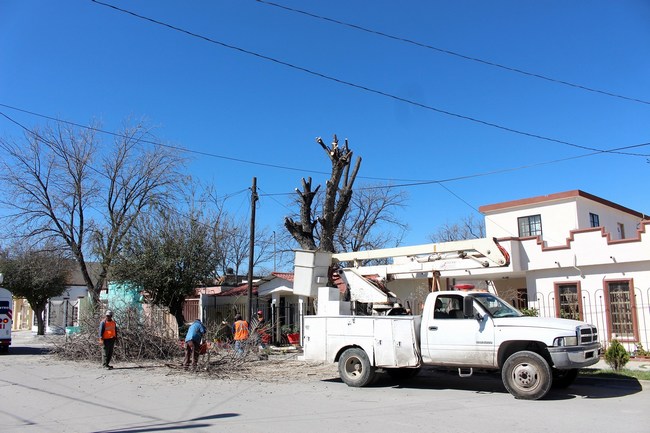 Sabinas: Ecología atiende reportes ciudadanos