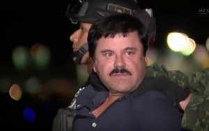 mini-elchapo