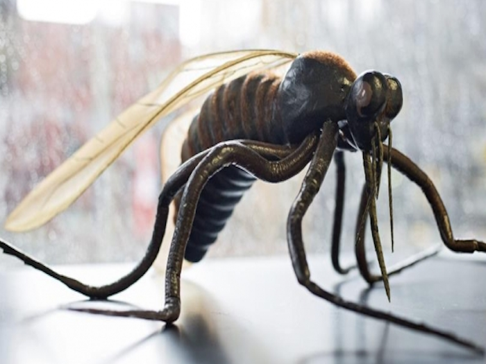 Suman 143 casos de zika en México, entre ellos hay 20 embarazadas: SSa