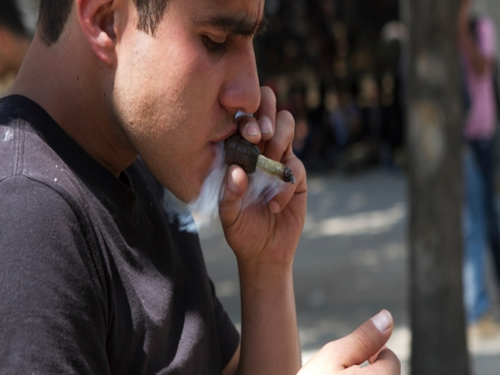 Preparan iniciativas para el uso de la mariguana