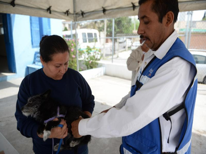 Saltillo: Habrá vacunas antirrábicas este miércoles en La Peñita, Nogales y Nueva Libertad