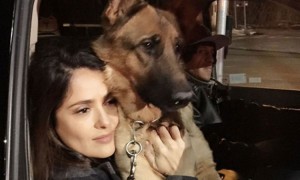 mini-SALMA Y SU PERO
