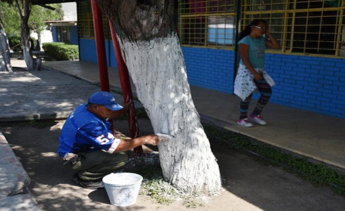 Juntos, ponen manos a la obra en Primaria de la Landín