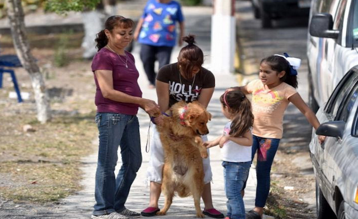 Invitan a adoptar perritos en la Ruta Recreativa Saltillo en Acción