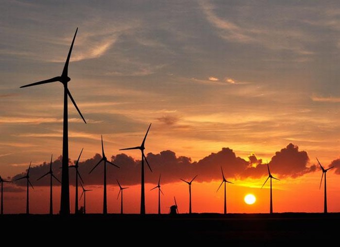 Avanza en acuña trabajo de consolidación de empresas de energía renovable