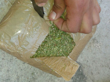 La PF asegura más de 300 kilos de mariguana en Chihuahua