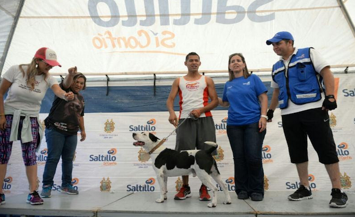 Saltillo: Tienen mascotas nuevo hogar