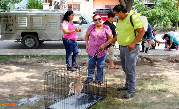 ACUÑA: MÀS DE 4,200 ACCIONES DE ATENCIÓN A MASCOTAS