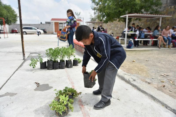Cambian mamás y papás fisonomía de escuela