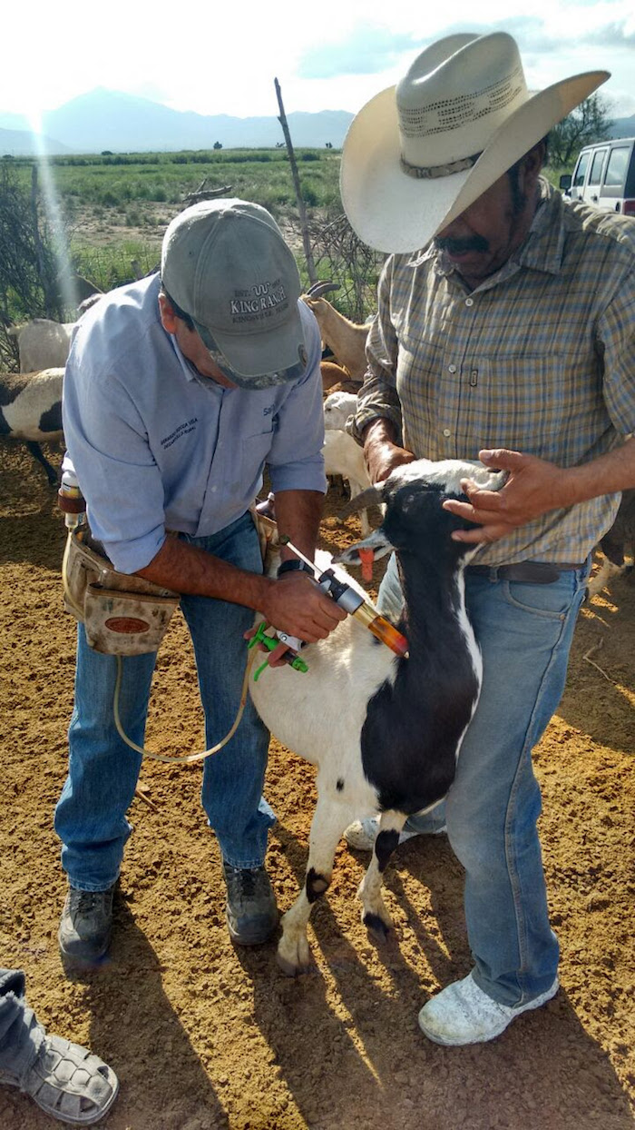 Saltillo: Lleva Municipio programa de Sanidad Animal a comunidades rurales