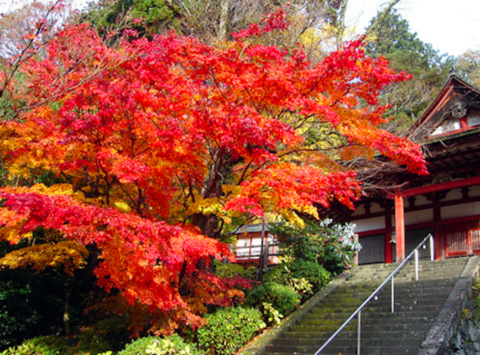 Bienvenido otoño: los 11 paisajes de campiña más relajantes del planeta