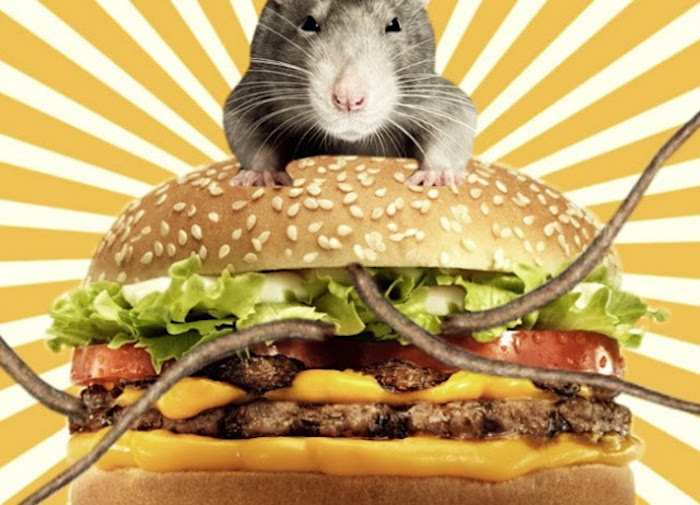 Reparte PRI hamburguesas en colonias de Saltillo