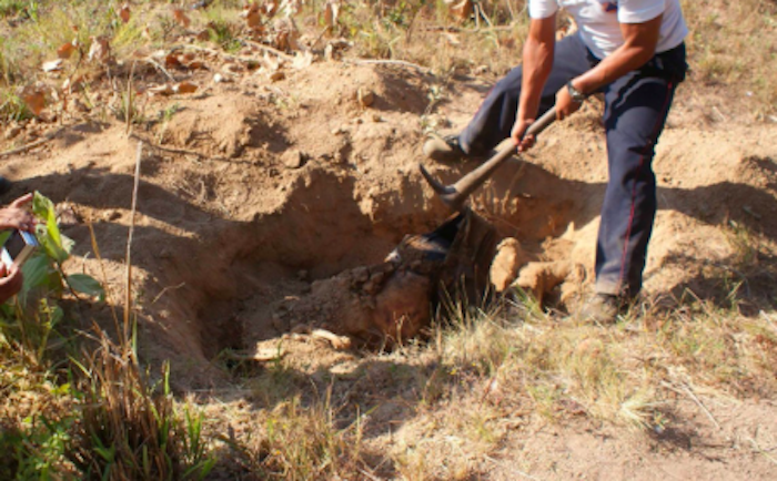 Mas fosas clandestinas en Coahuila