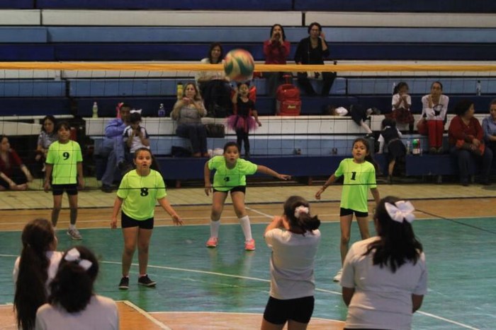 mini-5241fe55-ed6e-4df4-a8a2-077eebc75258