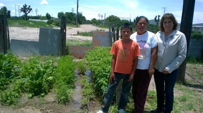 Saltillo:Dan huertos soluciones al sector rural